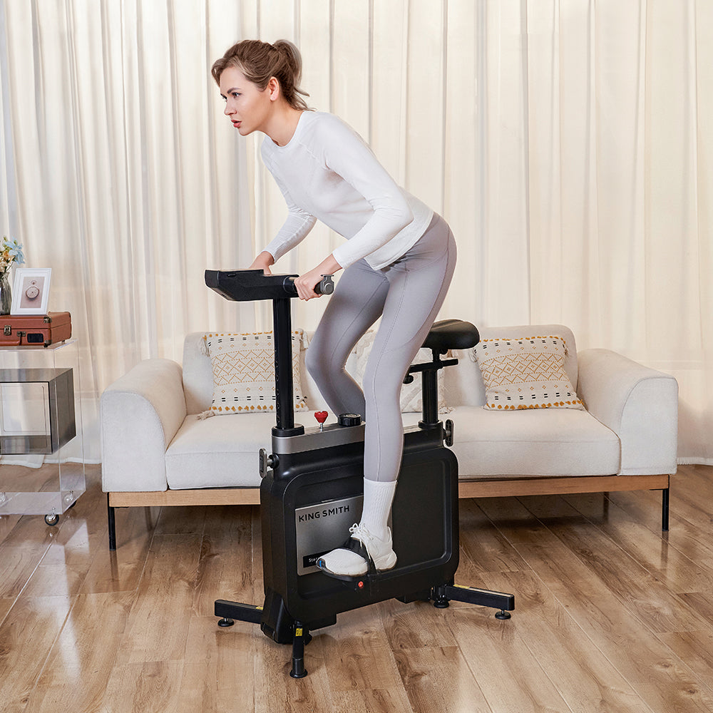 W1B Foldable Exercise Bike