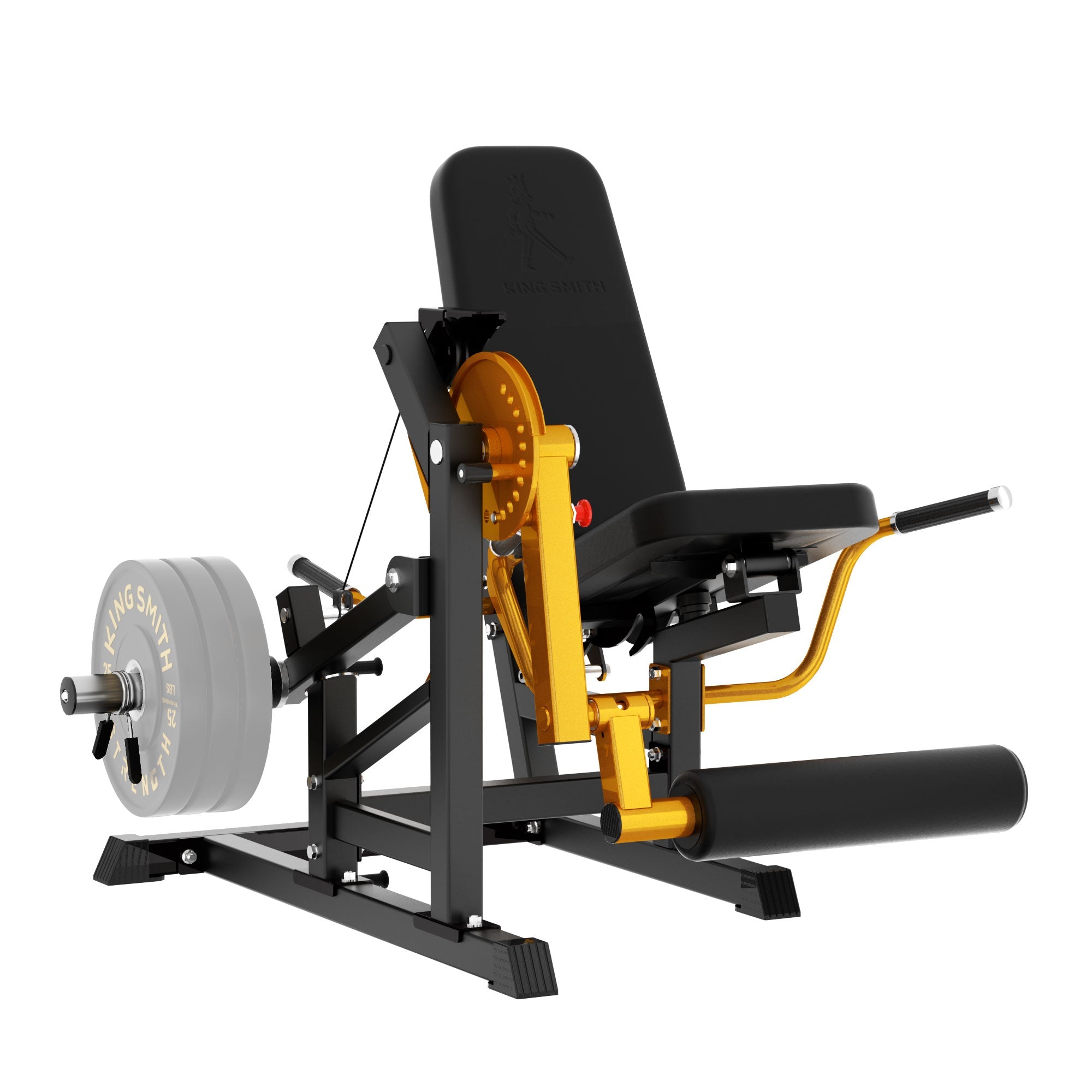 Leg Extension and Curl Machine for Home Gym