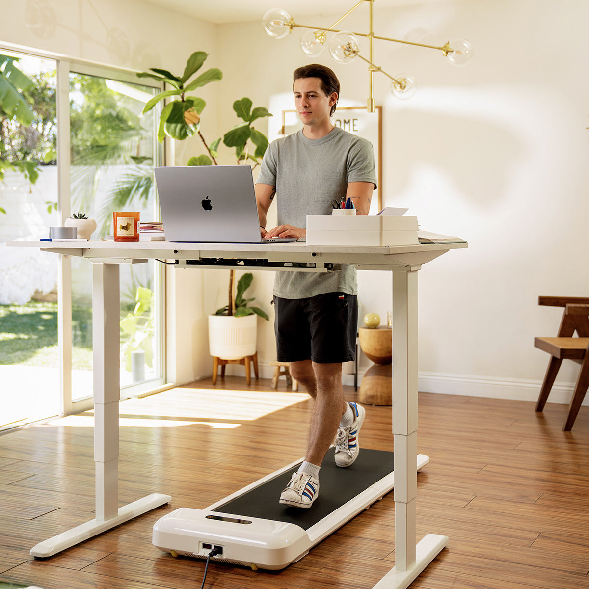 C2 Foldable Walking Pad